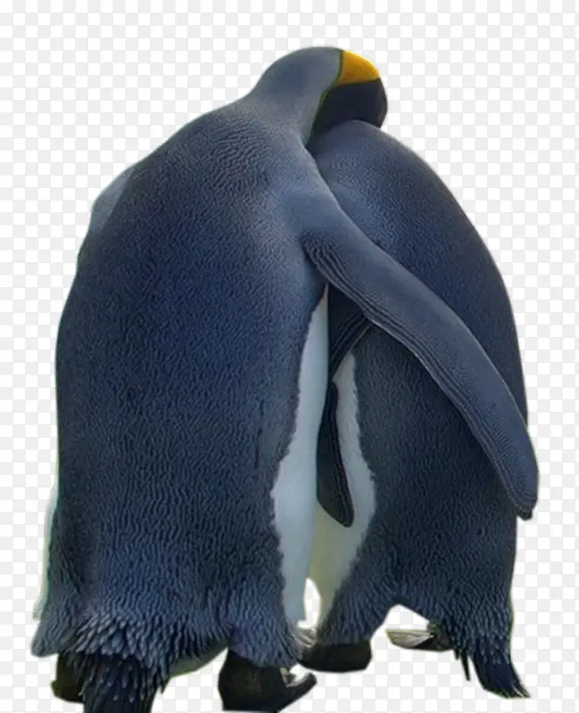 黑色拥抱企鹅