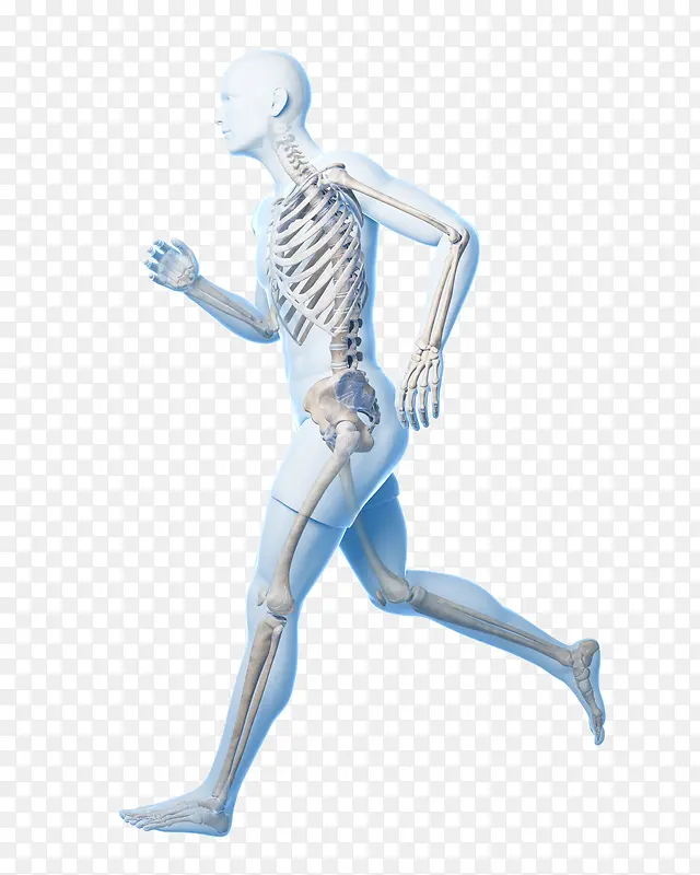 男人跑步骨骼立体插画