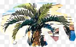 手绘漫画椰树装饰
