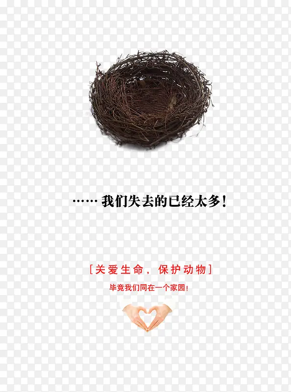 保护动物公益海报设计