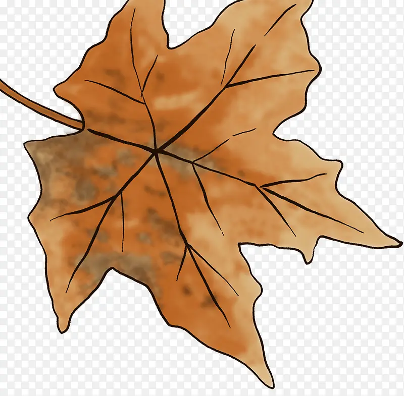 棕色纹理手绘干枯树叶