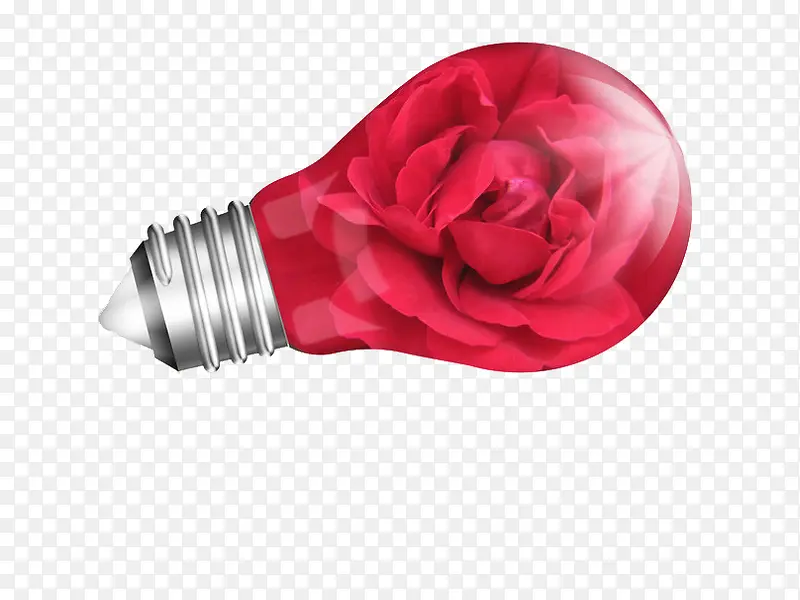 红玫瑰灯泡壁纸