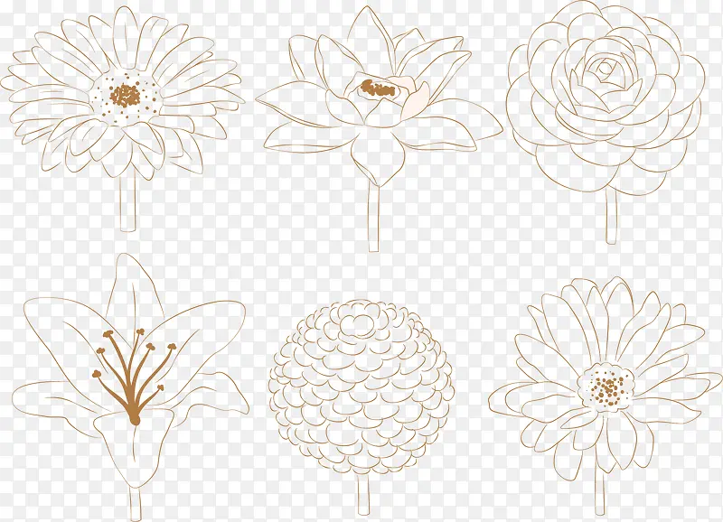 水彩画菊花矢量图