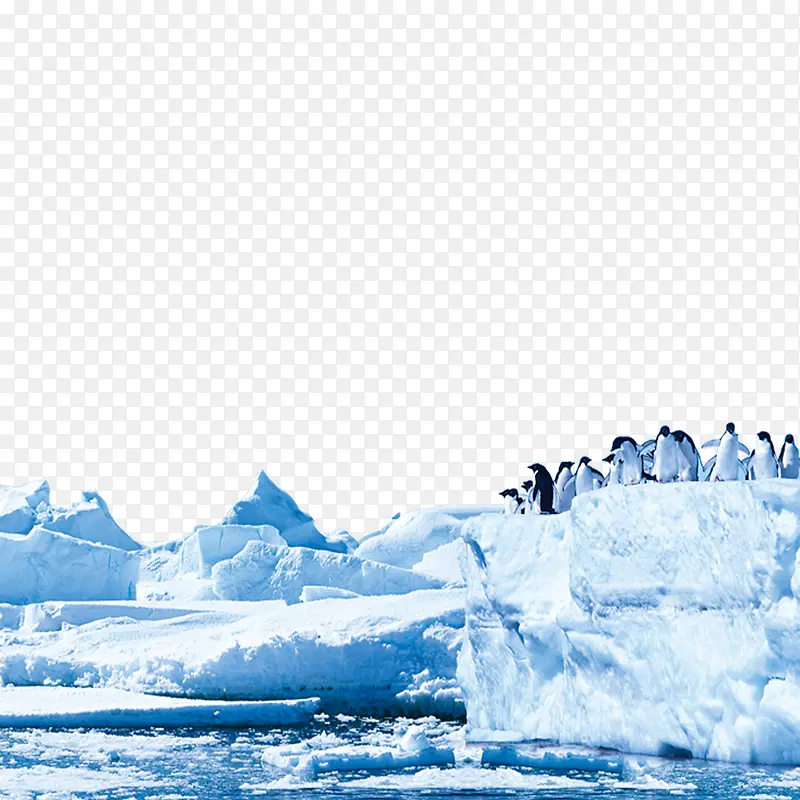 冰山边的企鹅