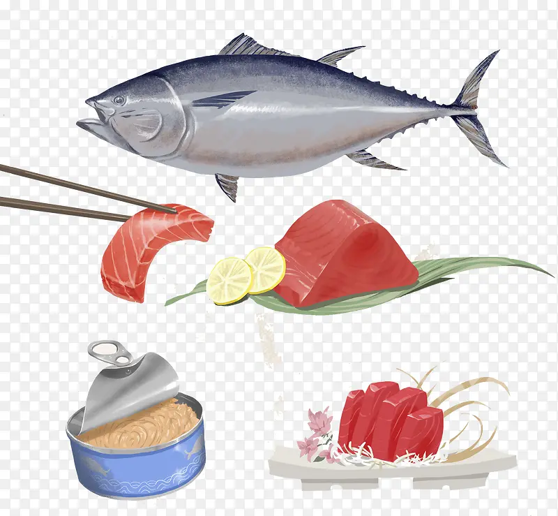 鱼片与鱼罐头