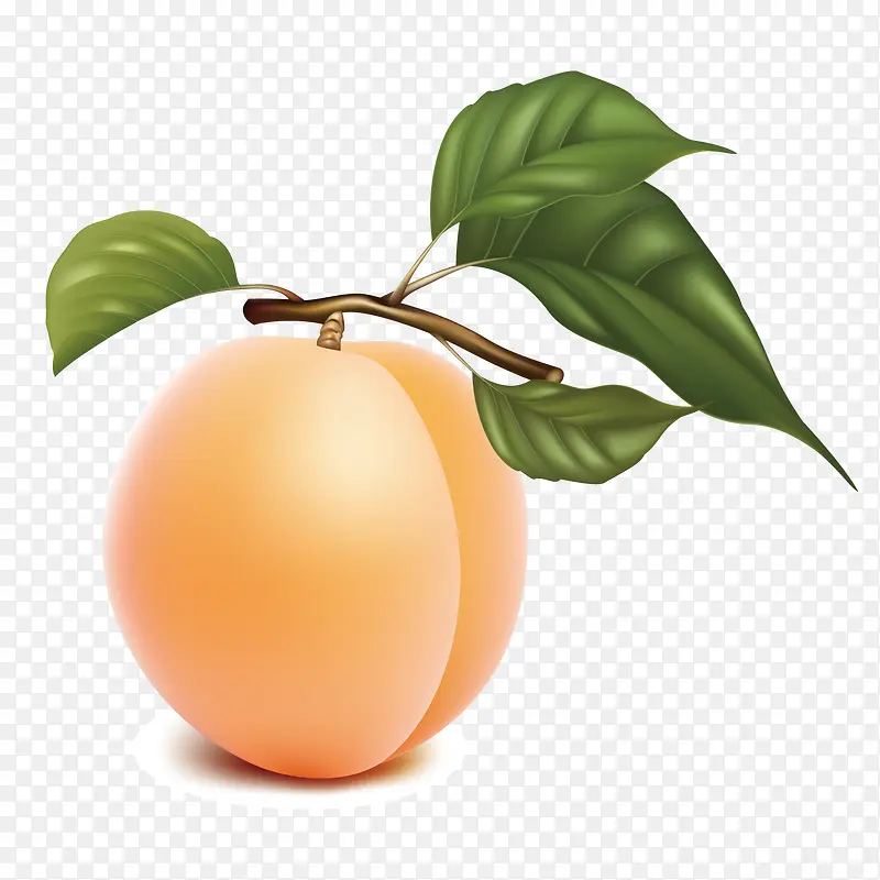 矢量水蜜桃