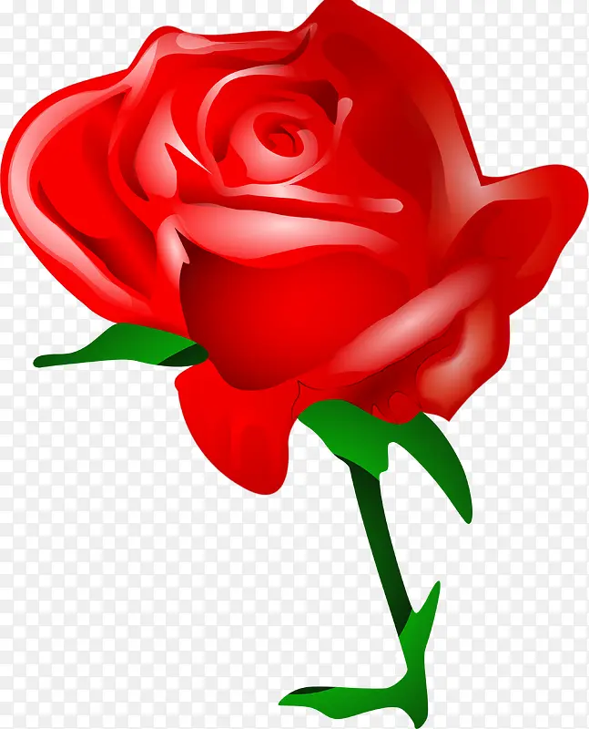 手绘一束红玫瑰