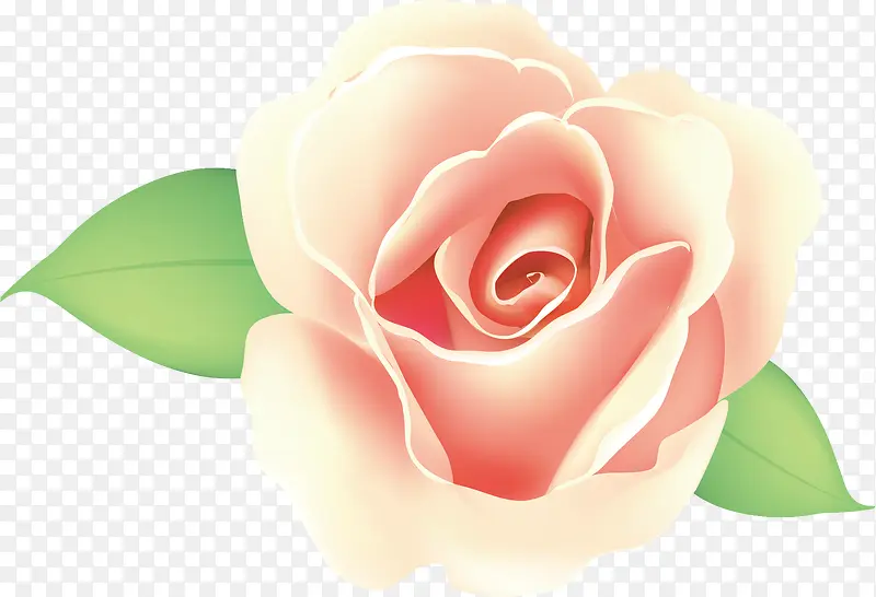 月季花png矢量素材
