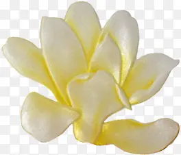 黄白色手绘十字绣花朵装饰