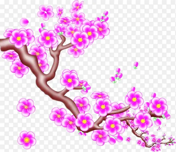 粉色的梅花树