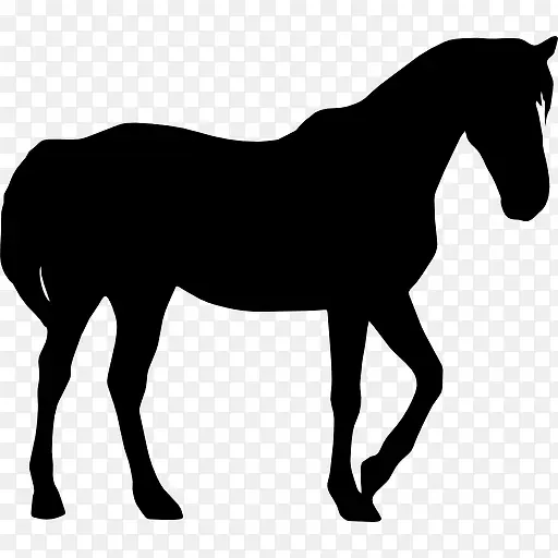 马的黑色剪影图标