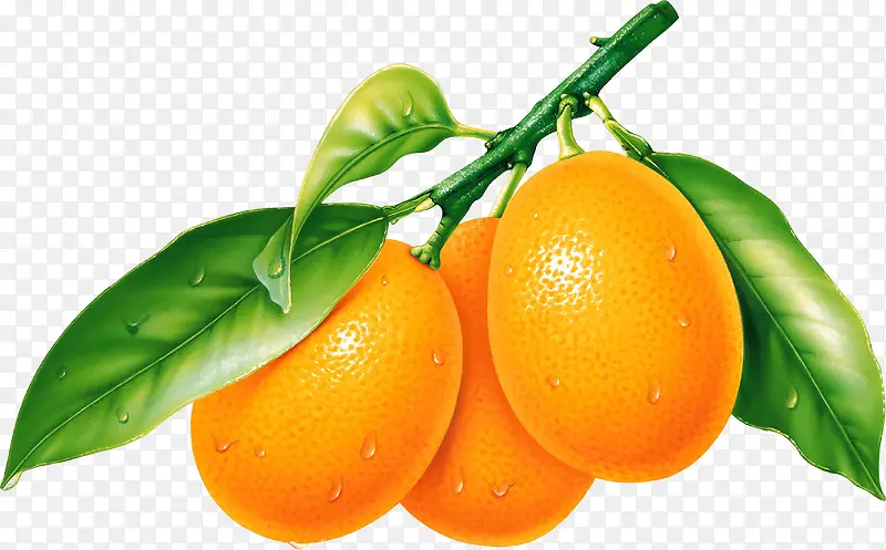 高清水果营养露珠新鲜橘子