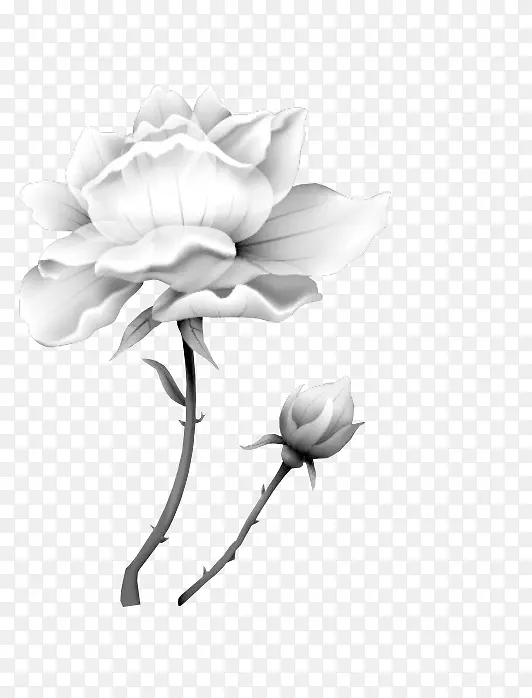 花卉