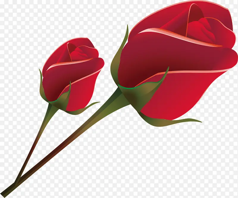 深红色玫瑰花