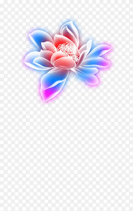 国画花鸟