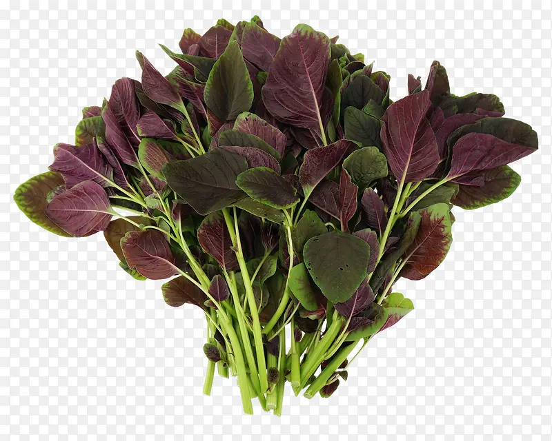 紫色蔬菜