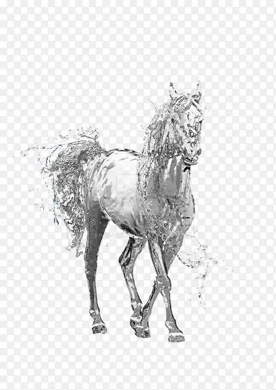 灰白晶状体或水形状的马
