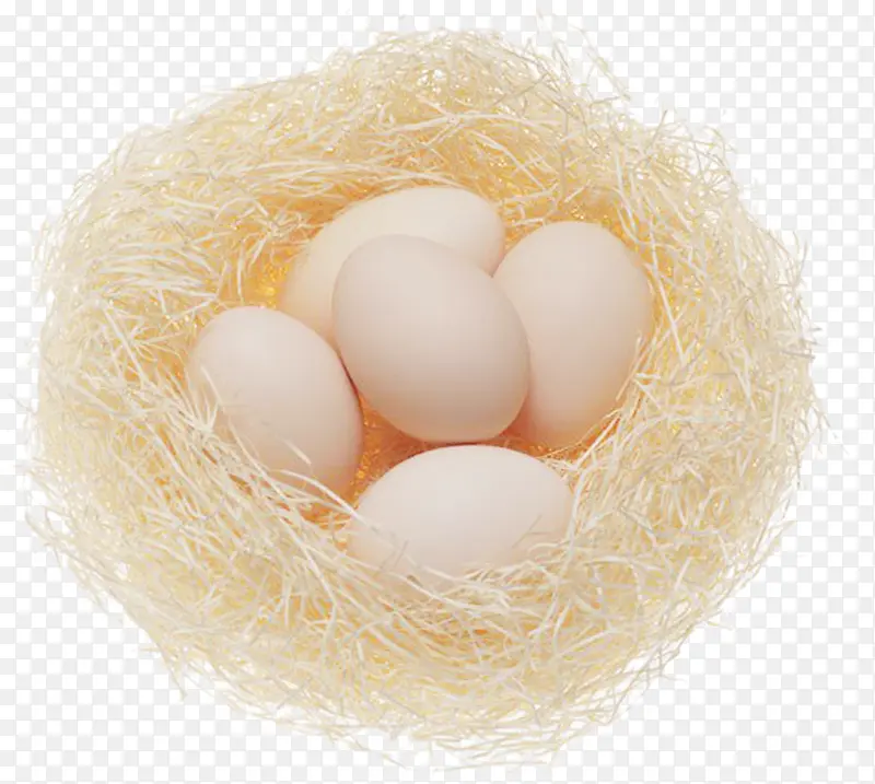 鸟窝 蛋类 蛋