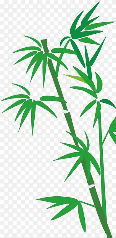 中国风翠绿竹子装饰图案