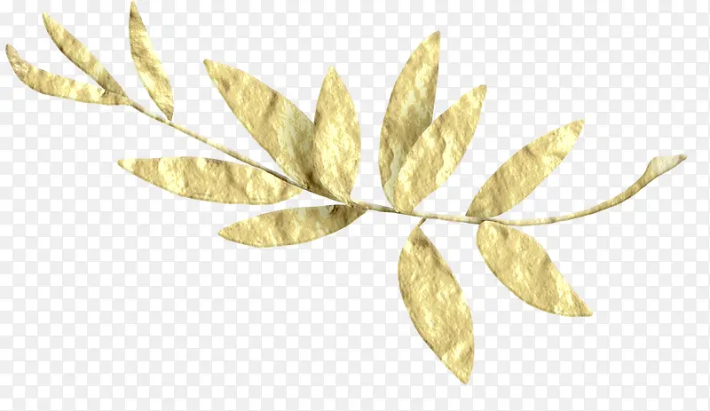金色枝叶