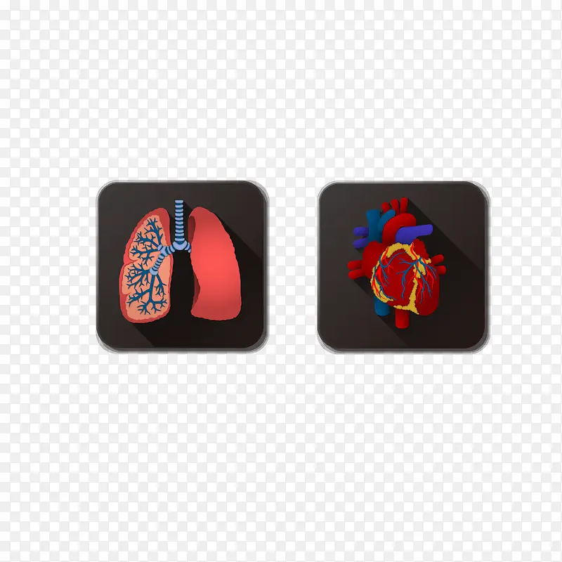 卡通人体器官血管矢量图图标
