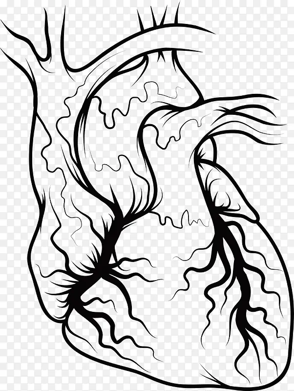 肺部器官手绘图