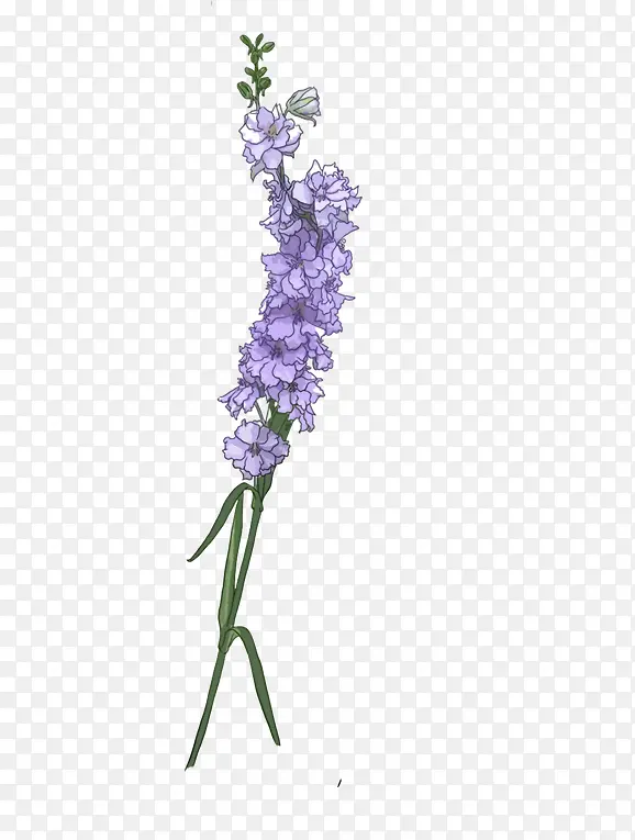 紫色文艺花朵