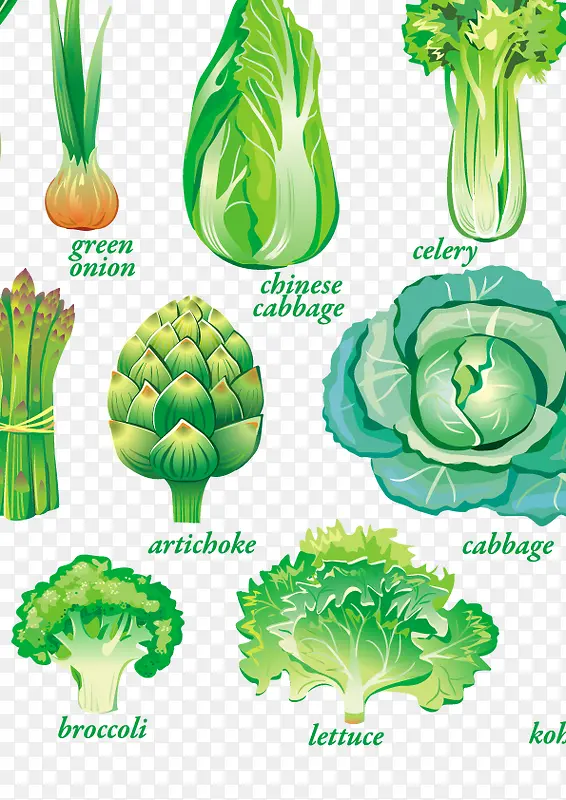 矢量绿色蔬菜图