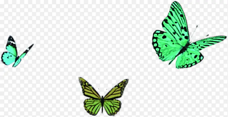 绿色荧光蝴蝶背景