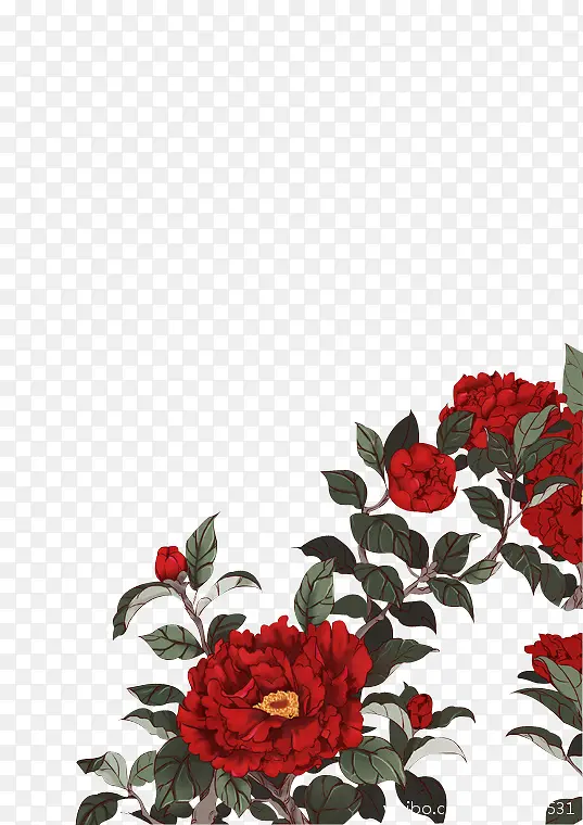 手绘红色边角玫瑰花