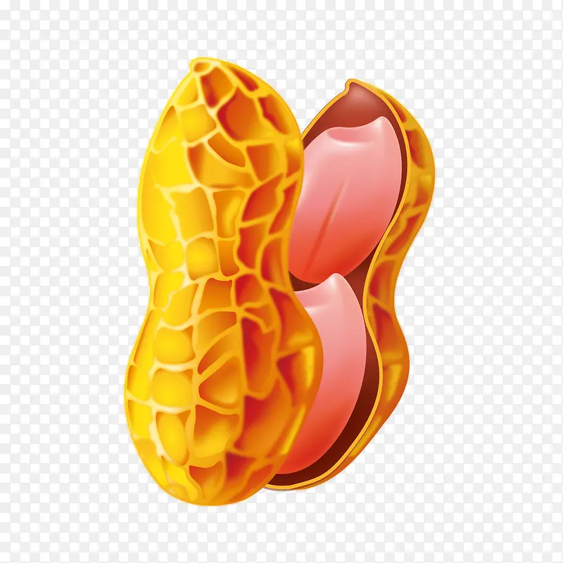 矢量花生图案
