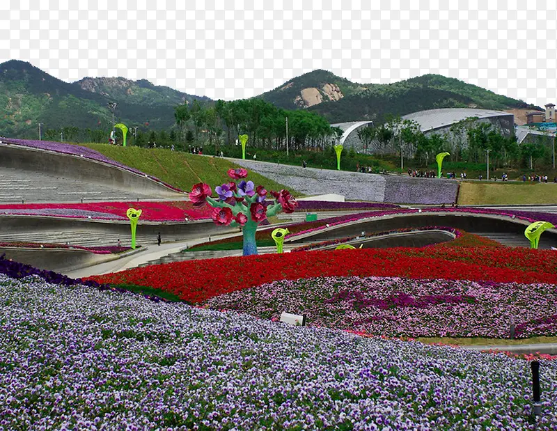 公园花卉展