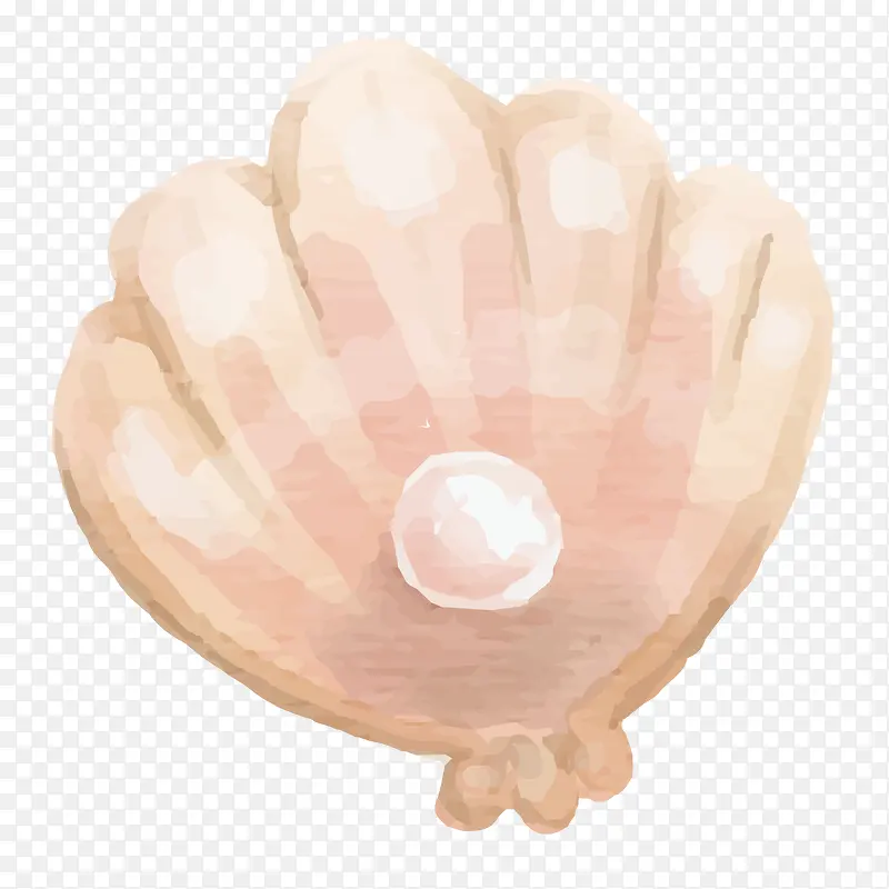 矢量珍珠贝