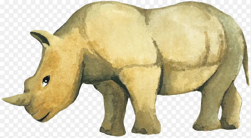 棕色犀牛