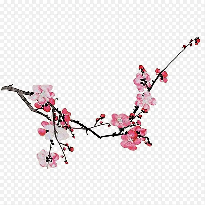 梅花PNG图片素材下载_图片编号9411094-PNG素材网