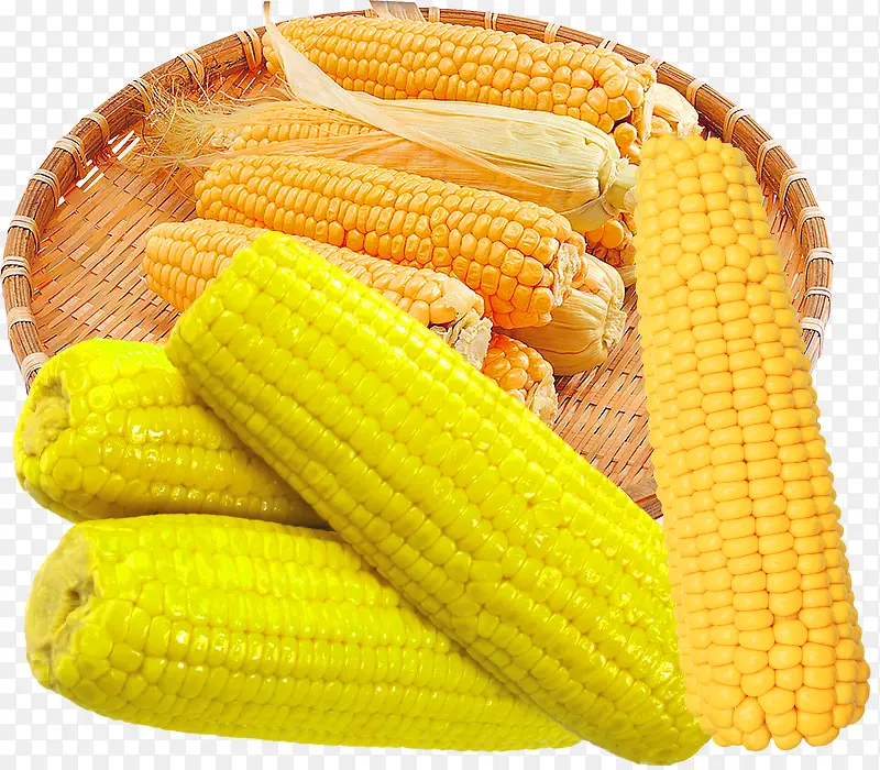 黄色干玉米老玉米