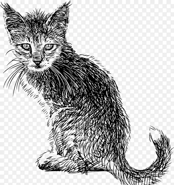 小猫黑白免抠图