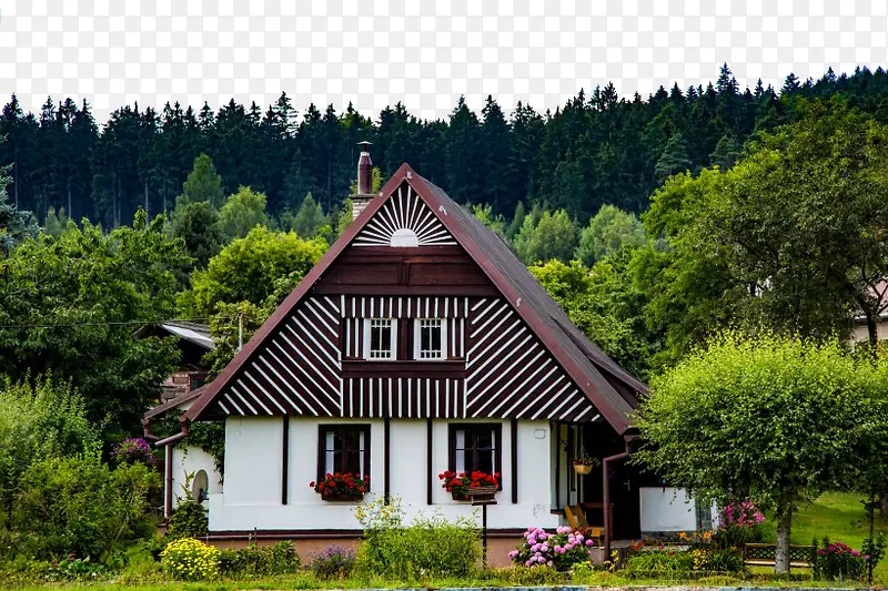 美丽小木屋