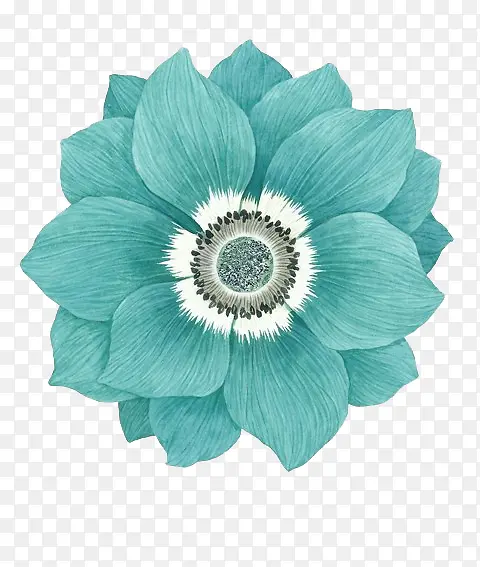 淡蓝花卉手绘