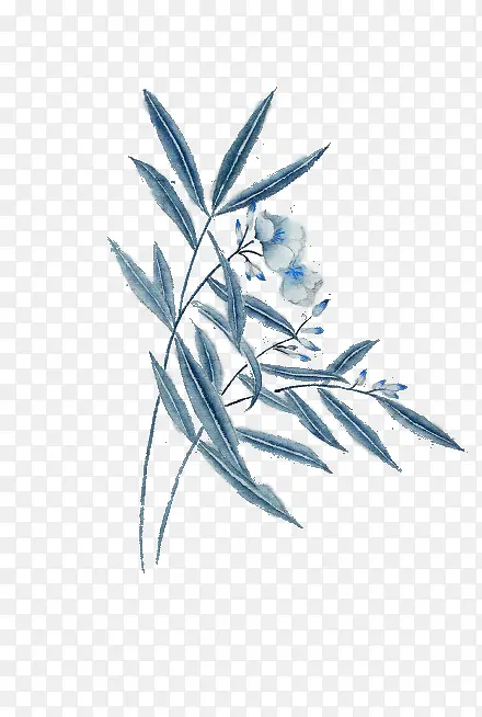 蓝色竹叶白色花朵