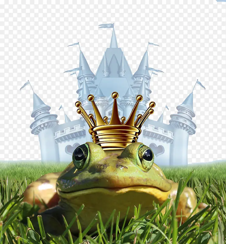 青蛙王子的城堡
