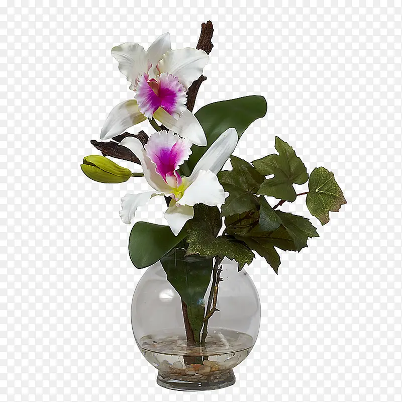 玻璃花瓶里的康乃馨