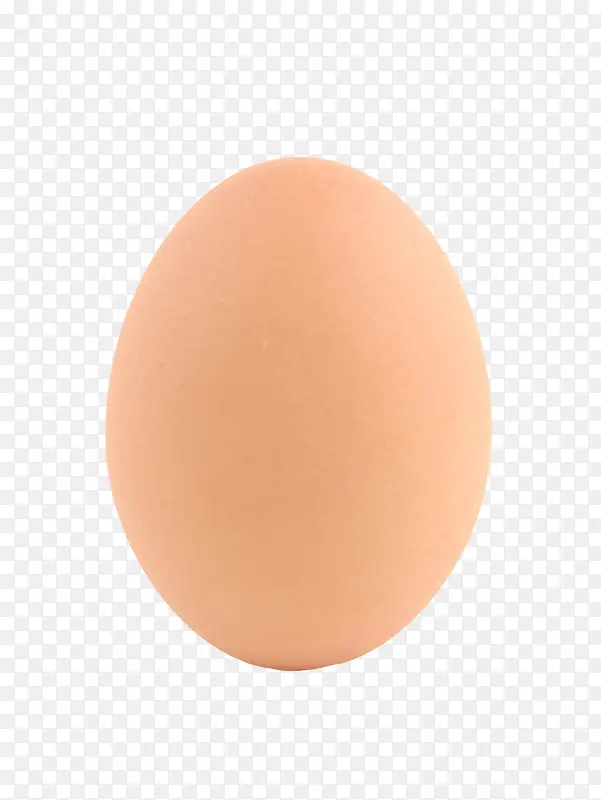 褐色鸡蛋初生蛋实物