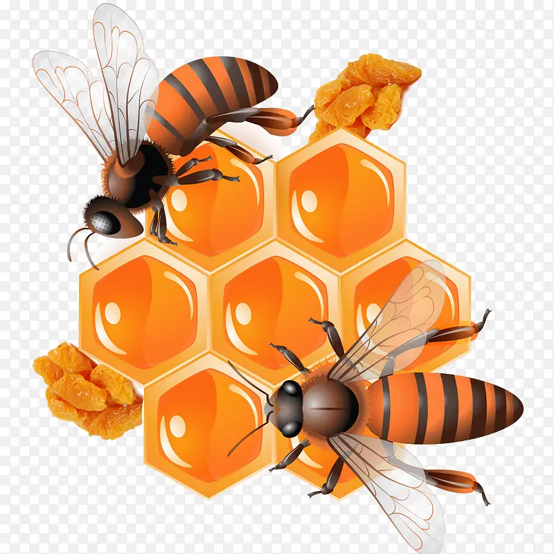 小蜜蜂和蜜饯