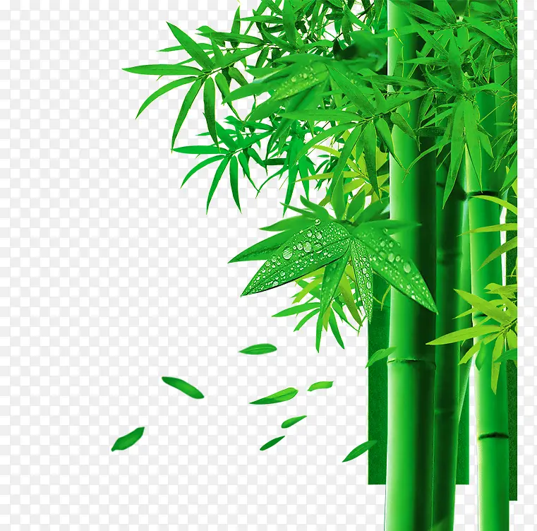 效果元素 竹子 绿色竹子
