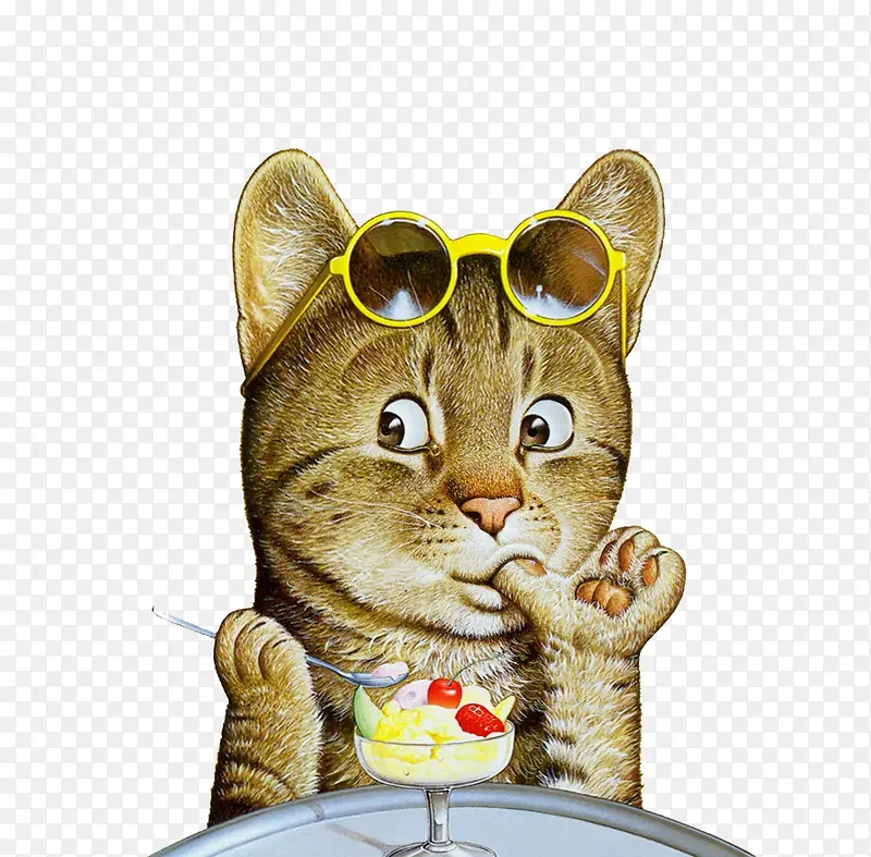 卖萌的猫咪