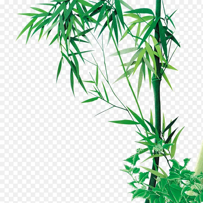 绿色竹子元素
