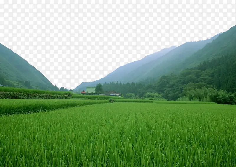 田野风景素材图