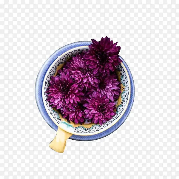 紫色菊花茶