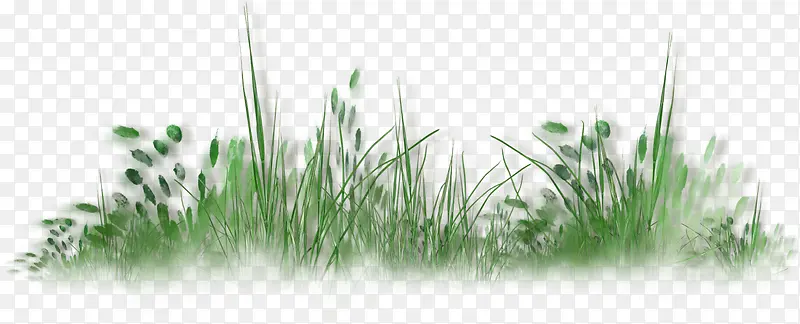 绿色草丛植物装饰图案